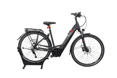 Pegasus Premio Evo 10 | Upway, Gebrauchtes Ebike