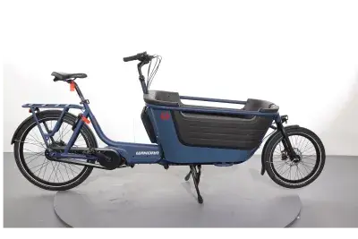 Winora F.U.B 2W | Upway, Gebrauchtes Ebike