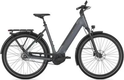Gazelle Ultimate C5+ Grau Modell 2026