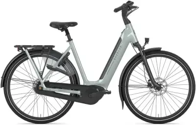 Gazelle Arroyo C8 Elite RT Grün Modell 2026