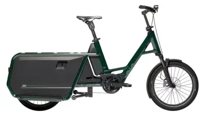 QiO Long CLA Grün Modell 2026