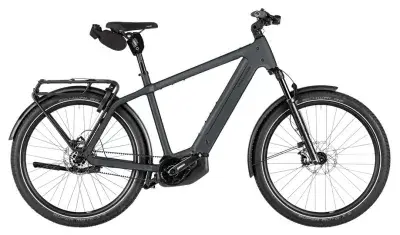 Riese und Müller Charger5 pinion Grau Modell 2026