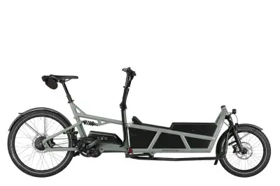 Riese und Müller Load5 75 vario Grau Modell 2026