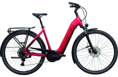 Hercules Futura I-9 Rot Modell 2026