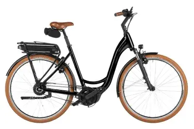 Riese und Müller Swing5 vario Schwarz Modell 2026