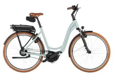 Riese und Müller Swing5 vario Grün Modell 2026