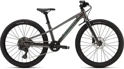 Specialized Riprock 24 INT Grau Modell 2026