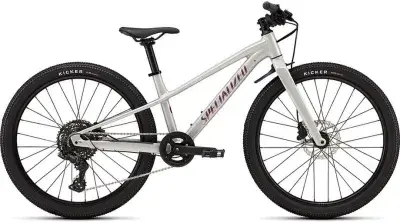 Specialized Riprock 24 INT Grau Modell 2026