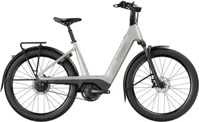 Trek Charter+ 4 Enviolo Belt Lowstep Grau Modell 2027