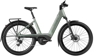 Trek Charter+ 4 Trail Lowstep Grün Modell 2027