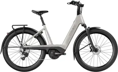 Trek Charter+ 4 Lowstep Grau Modell 2027