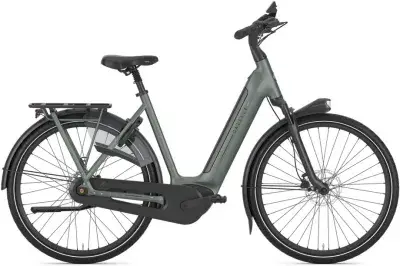 Gazelle Arroyo C8+ Elite RT Grün Modell 2026