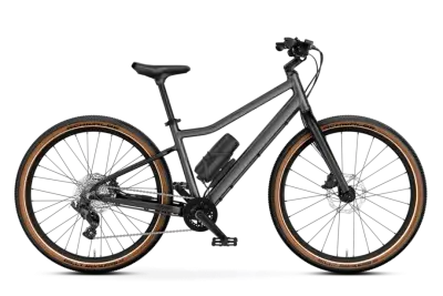 Woom Explore e 5 Grau Modell 2026