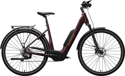Advanced Trekking Plus Wave Rot Modell 2025