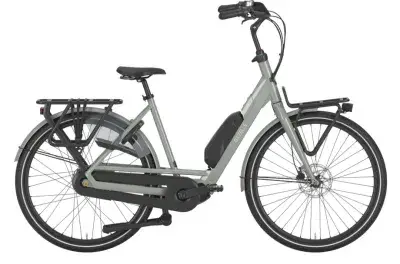 Gazelle Bloom C310 Grün Modell 2026
