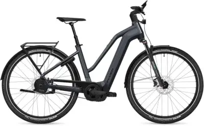 Flyer G1 Gotour 7.23 Auto Grau Modell 2027