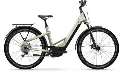 Winora Yakun X10 Grün Modell 2026