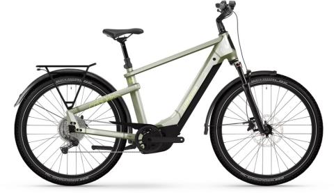Winora Yakun X10 Grün Modell 2026