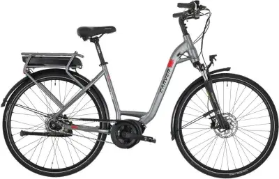 Carver Cityzen E LTD RT Grau Modell 2025