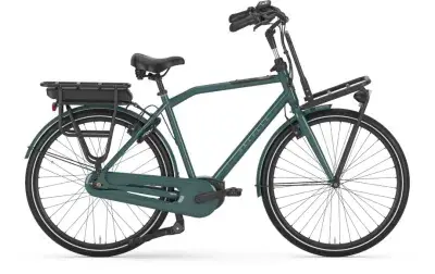 Gazelle HeavyDutyNL C7+ Grün Modell 2026