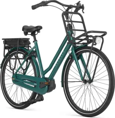 Gazelle HeavyDutyNL C7+ Grün Modell 2026
