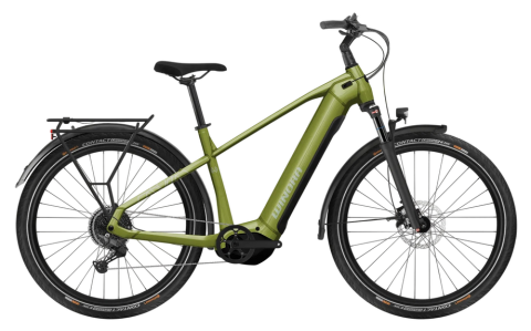 Winora Yucatan X10 Grün Modell 2025