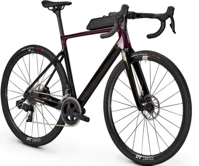 Focus Paralane 8.8 Lila Modell 2025