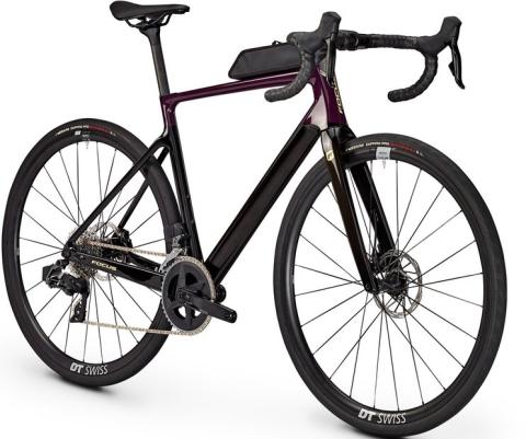 Focus Paralane 8.8 Lila Modell 2025