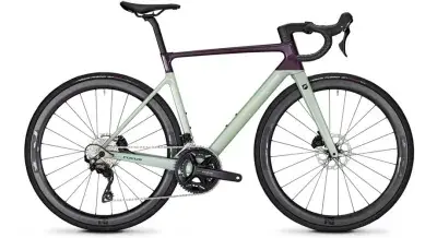 Focus Izalco Max 8.8 Lila Modell 2024