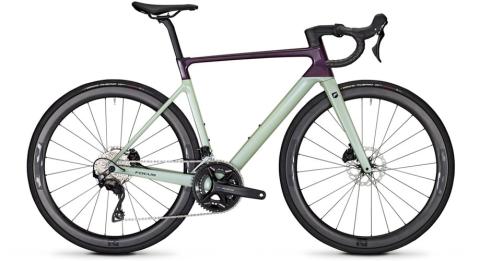Focus Izalco Max 8.8 Lila Modell 2024