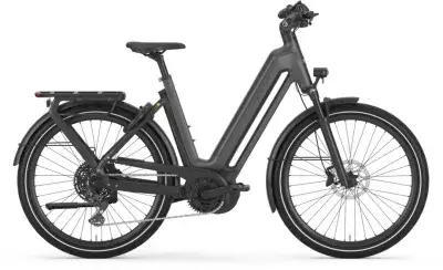 Gazelle Eclipse T11 Grau Modell 2026