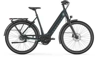 Gazelle Ultimate C8+ HMB Grau Modell 2025