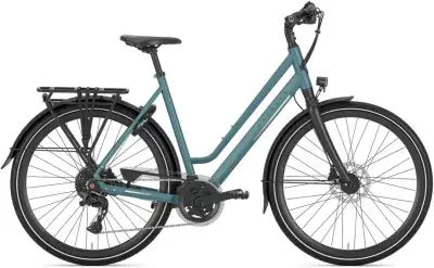 Gazelle Chamonix T20 Grau Modell 2026
