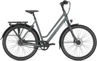 Gazelle Chamonix S8 Grün Modell 2026