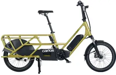Carlos C1 Grün Modell Aktion