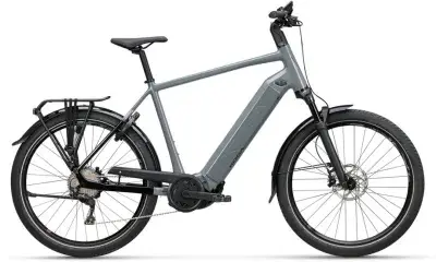 Koga Pace B05 Grau Modell 2024