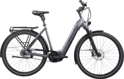 Hercules Futura HD I-F5 Grau Modell Aktion