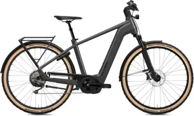 Flyer G1 Gotour 7.12 XC ABS Grau Modell 2025