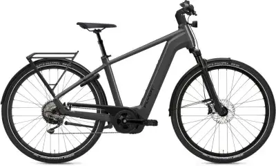 Flyer G1 Gotour 7.10 ABS Grau Modell 2025