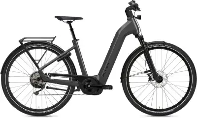 Flyer G1 Gotour 7.10 ABS Grau Modell 2025