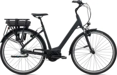 Giant Entour E+ 1 RT Schwarz Modell 2024