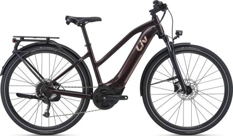 Liv Amiti-E+ 2 - RC Dash Braun Modell Aktion