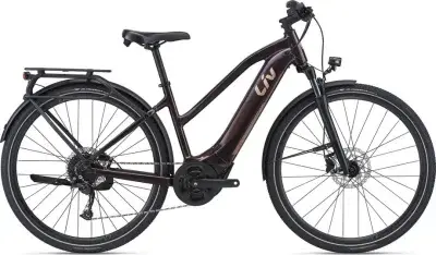 Liv Amiti-E+ 2 - RC Dash Braun Modell Aktion
