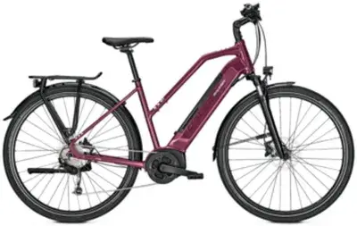 Raleigh Kent 9 Rot Modell Aktion