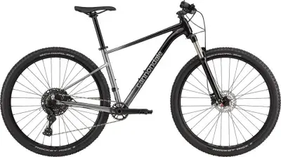 Cannondale Trail SL 4 Grau Modell 2024