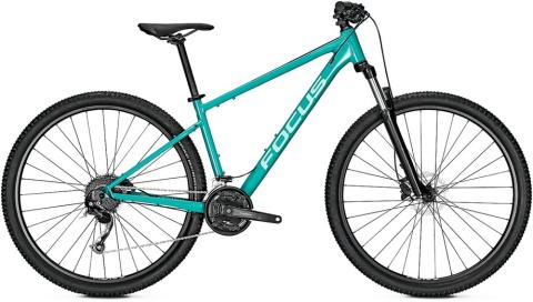 Focus Whistler 3.6 Grün Modell 2025