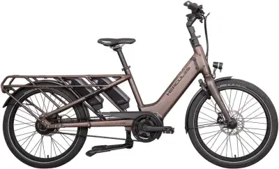 Hercules Rob Family F360 Braun Modell Aktion