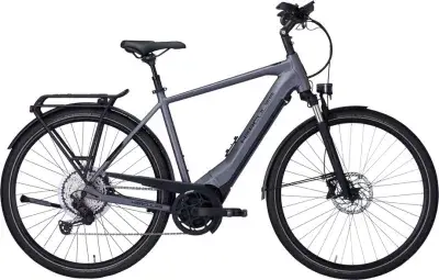 Hercules Pasero Pro I-12 Grau Modell Aktion