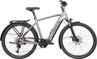 Hercules Edison Comp I-12 Braun Modell Aktion