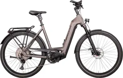 Hercules Futura Max I-12 Silber Modell Aktion